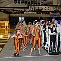 BDJ_6803-2
