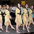BDJ_6833-2