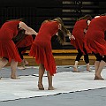 BDJ_3339