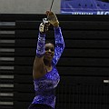 BDJ_3560