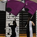 BDJ_5424