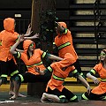 BDJ_1143
