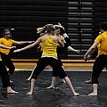 BDJ_8291-2