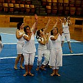 BDJ-9030