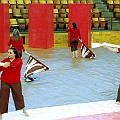 BDJ-8613