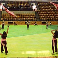 BDJ-8868