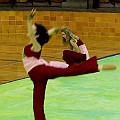 BDJ-8888