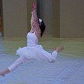 BDJ-9087