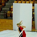 BDJ-8826