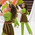 BDJ-8819