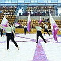 BDJ_8501