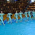 BDJ_9729