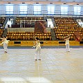 BDJ_7774