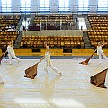 BDJ_7782