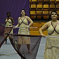 BDJ_1515