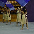 BDJ_1529