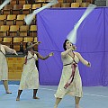 BDJ_8370