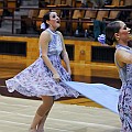 BDJ_1643