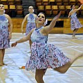 BDJ_8535