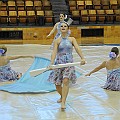 BDJ_8584