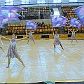 BDJ_8613