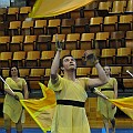 BDJ_8744