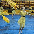 BDJ_8752