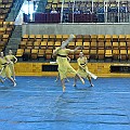 BDJ_8788