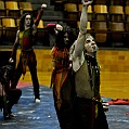 BDJ_0875