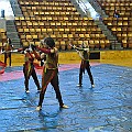 BDJ_7912