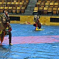BDJ_7927