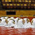 BDJ_2458