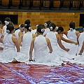 BDJ_9876