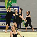 BDJ_8004