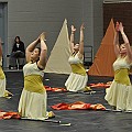 BDJ_6767