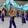 BDJ_5675
