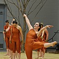 BDJ_8767