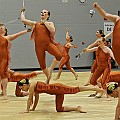 BDJ_8794