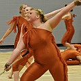 BDJ_8816