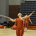 BDJ_8833