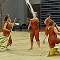 BDJ_8868
