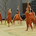 BDJ_8873