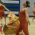 BDJ_8947