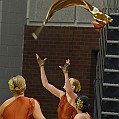 BDJ_8965