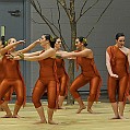 BDJ_8974