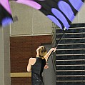 BDJ_8138