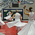 BDJ_8382