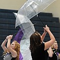 BDJ_0498