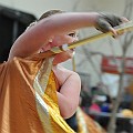 BDJ_2718