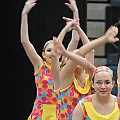 BDJ_0331